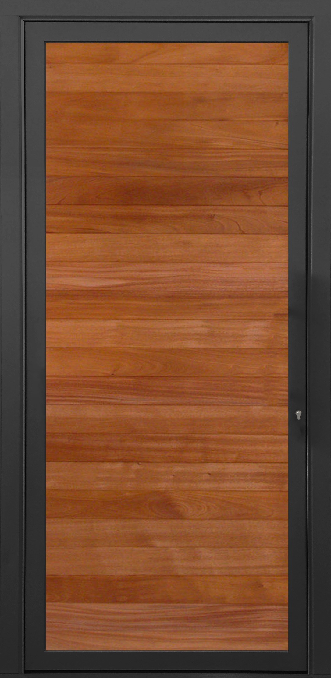 CBW Doors Modern Entry Doors